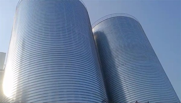 建瓯2座混凝土高架卷板仓